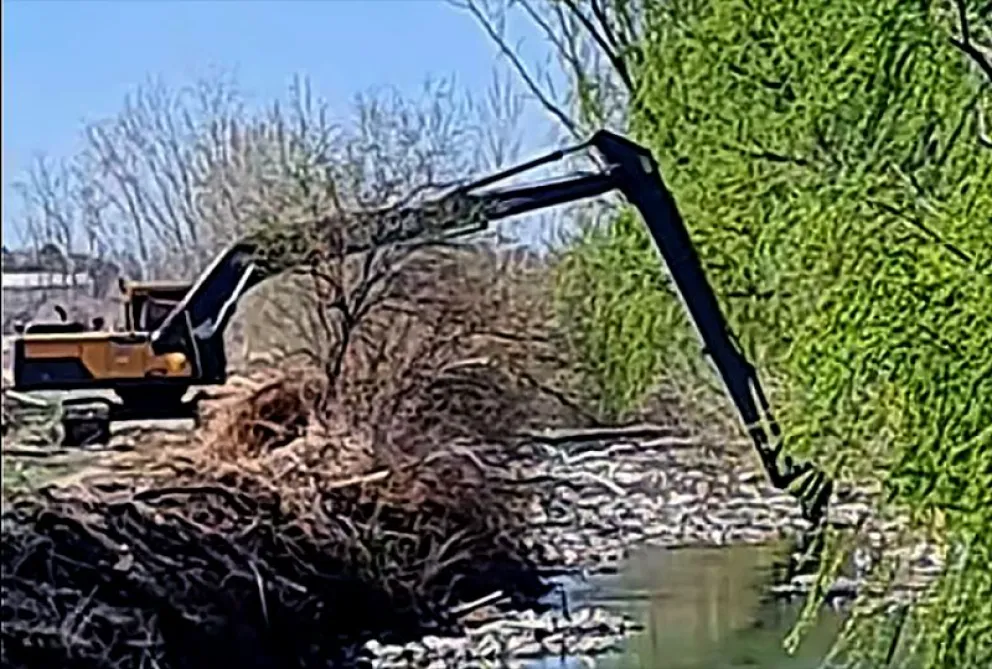 Maquinaria del Consorcio de Riego de Regina comenzó la limpieza del arroyo Salado. (Foto gentileza)