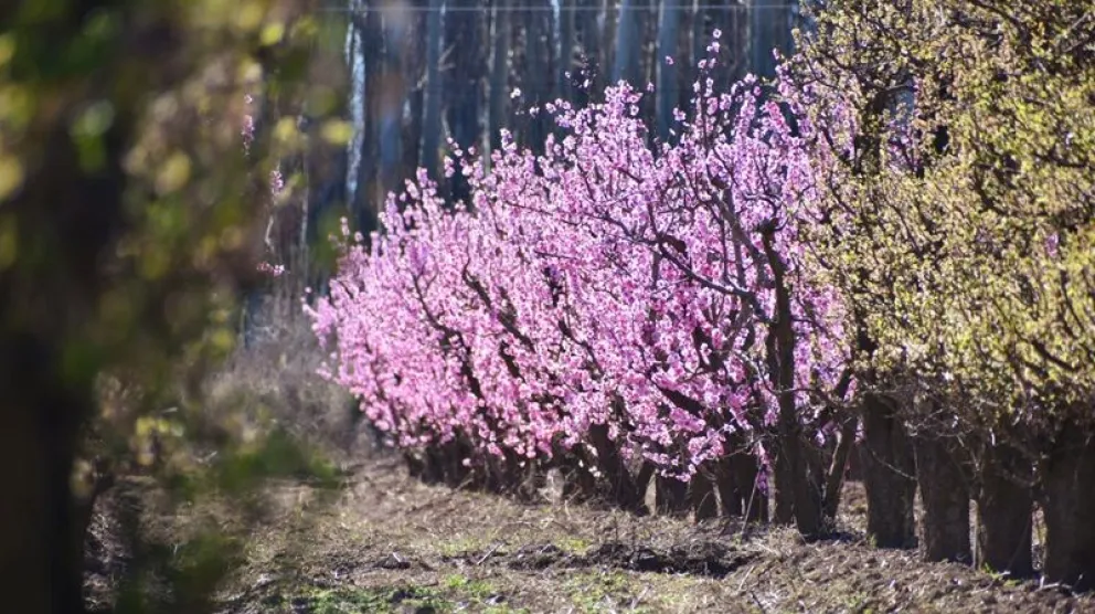 Este domingo, primer día de primavera, recibimos la nueva estación con una temperatura agradable. (Foto archivo)