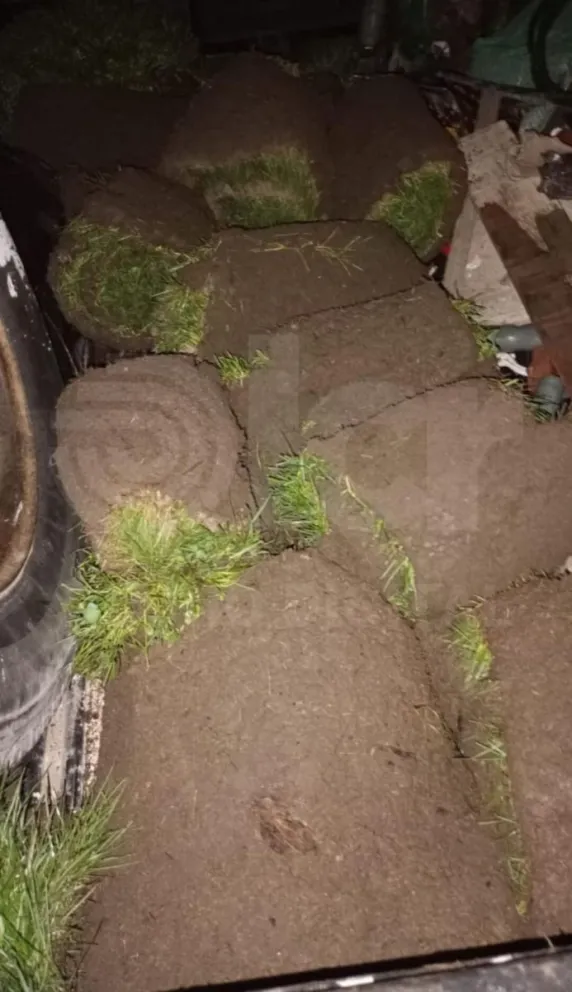 En total se recuperaron 34 panes que iban a ser colocados sobre calle Los Nogales.