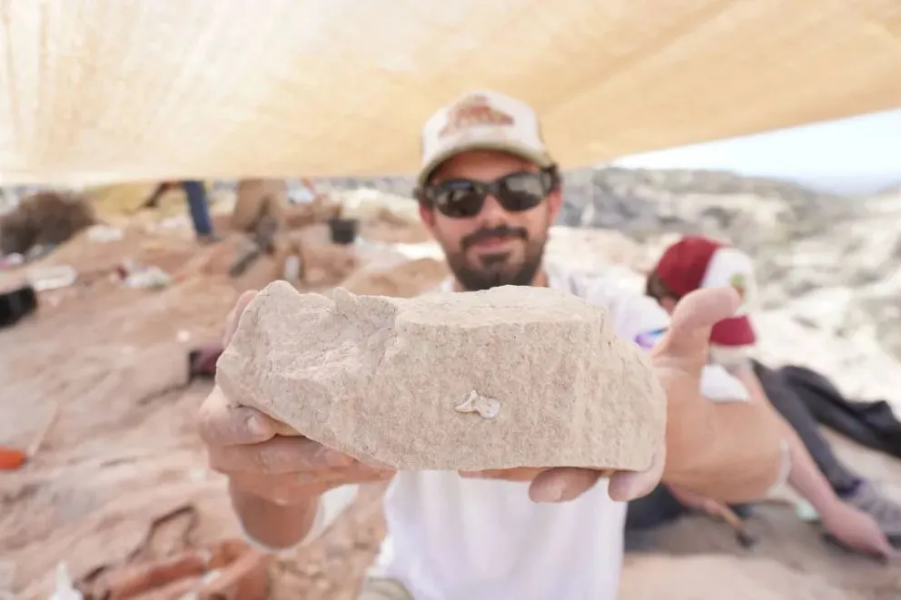 Créditos de fotografías y videos: Cortesía de equipo LACEV