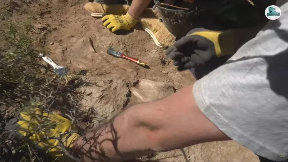 Las primeras conclusiones indican que el ejemplar habría quedado sepultado en una laguna.