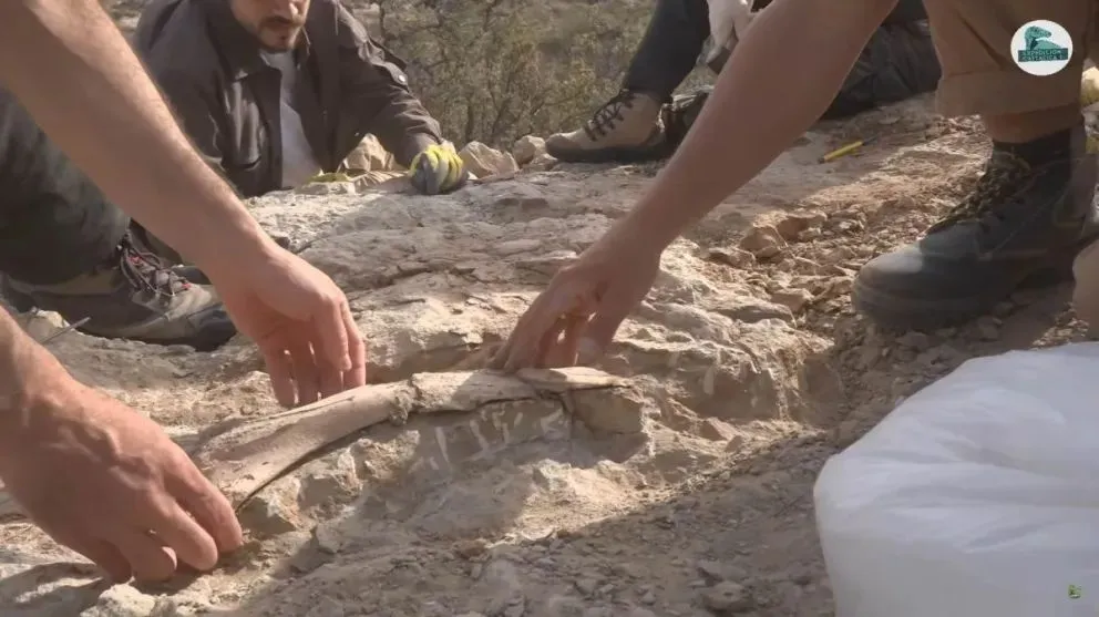 "No es algo que suceda en una campaña, que encuentres tantos dinosaurios en tan pocos días"