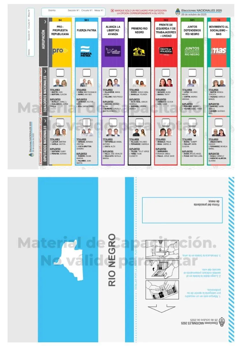 As&iacute; ser&aacute; la boleta &uacute;nica en la provincia de R&iacute;o Negro. | Foto junta electoral Nacional