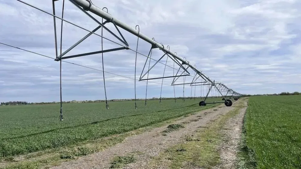 Negro Muerto se consolida uno de los proyectos más estratégicos para el crecimiento agrícola y ganadero de Río Negro