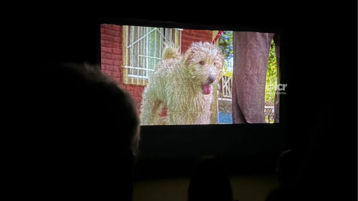 "Zimo" uno de los protagonistas de "Estabas ah&iacute;". Foto: Celeste Cerezuela
