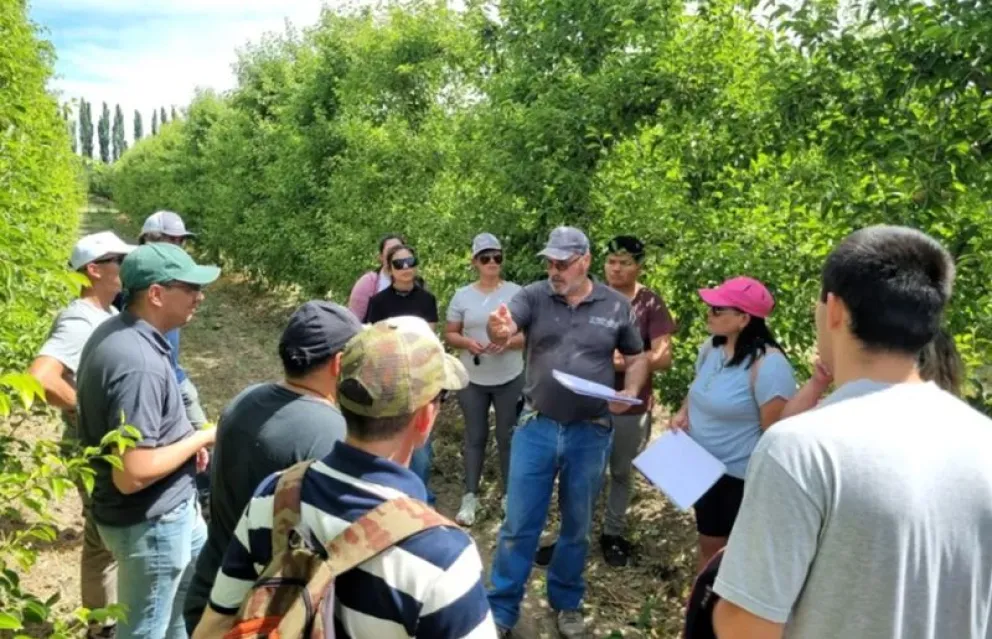 Una de las opciones de capacitación será el curso habilitante para monitoreo de carpocapsa. Foto: archivo