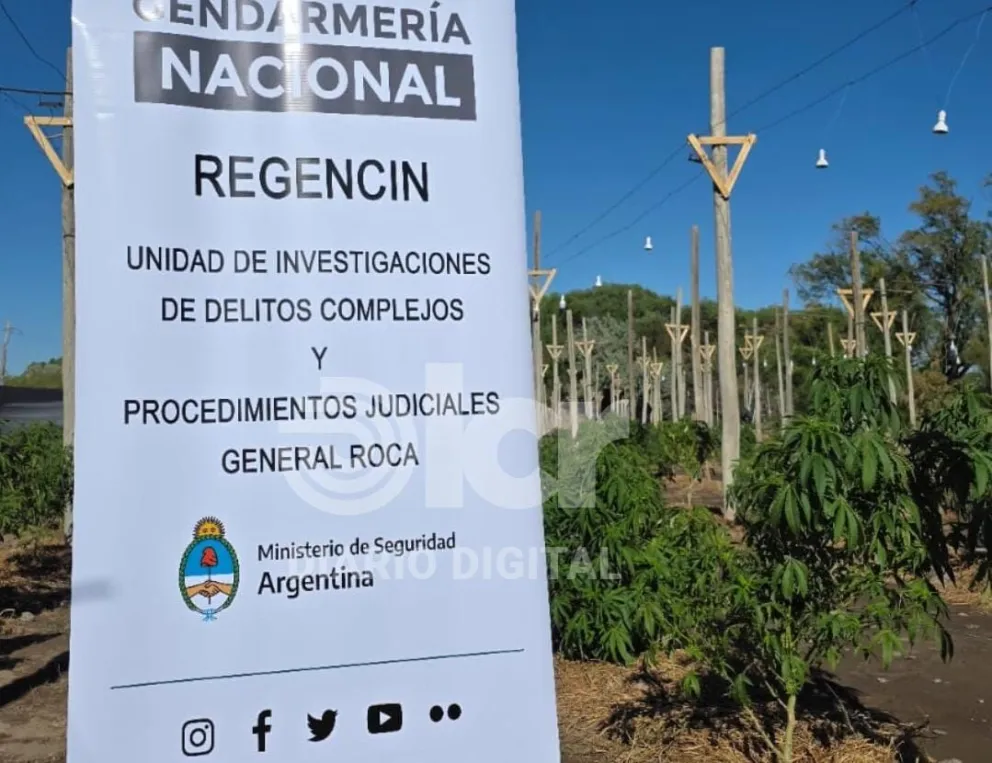 Los allanamientos se hicieron ayer y fueron encabezados por Gendarmería. Fotos gentileza. Gendarmería 