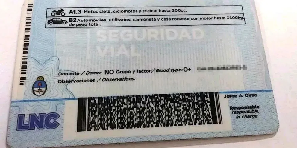 Mostró una licencia apócrifa presuntamente emitida por el municipio de Cipolletti. Foto: gentileza