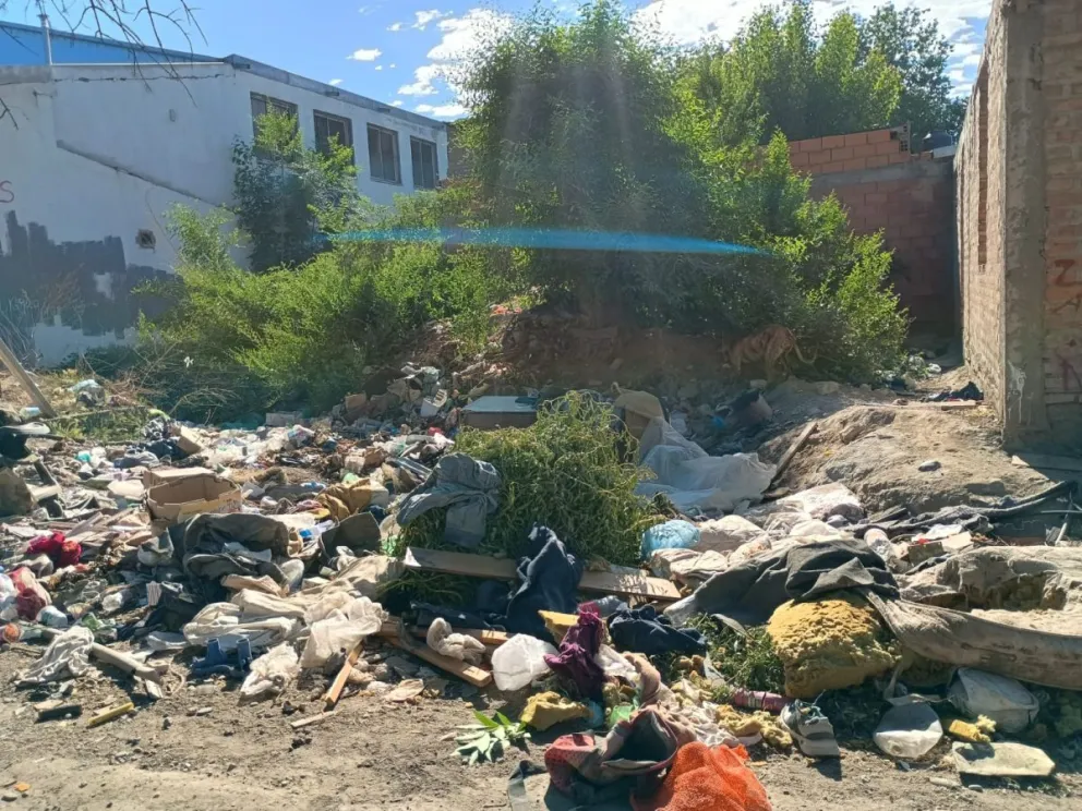 Todo tipo de basura es arrojada desde hace tiempo en cercanías de la esquina Alumine y San Sebastián. Foto gentileza.