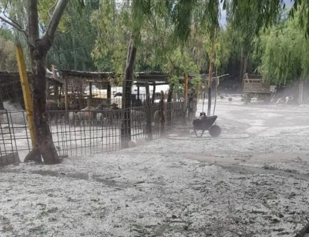 Las cantidades de granizo fueron significantes. Foto: gentileza
