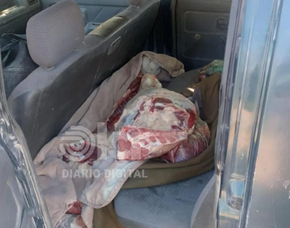 La carne roja con hueso de un animal vacuno completo era transportada desde un campo a Chichinales. Foto gentileza.