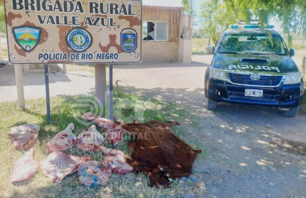 Luego del decomiso y el acta de infracción se ordenó que la carne fuese incinerada. Foto gentileza.