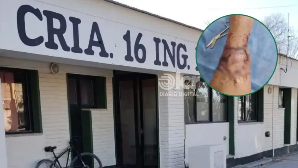 El ataque ocurrió el viernes y la denuncia se radicó ayer en la Comisaría 16. Foto gentileza.