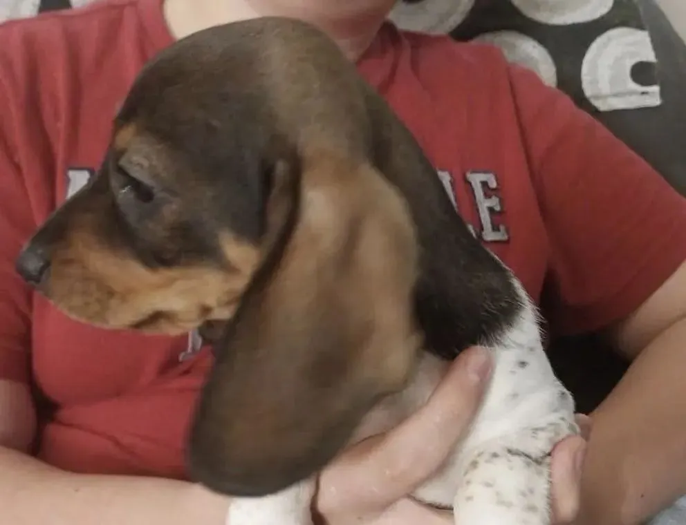 Fiscalía de turno dispuso continuar con las actuaciones por el delito. Foto: gentileza