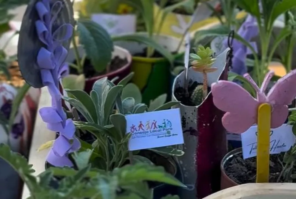 Una importante cantidad de vecinos se sumó la encuentro de Intercambio Ecológico. Foto: gentileza