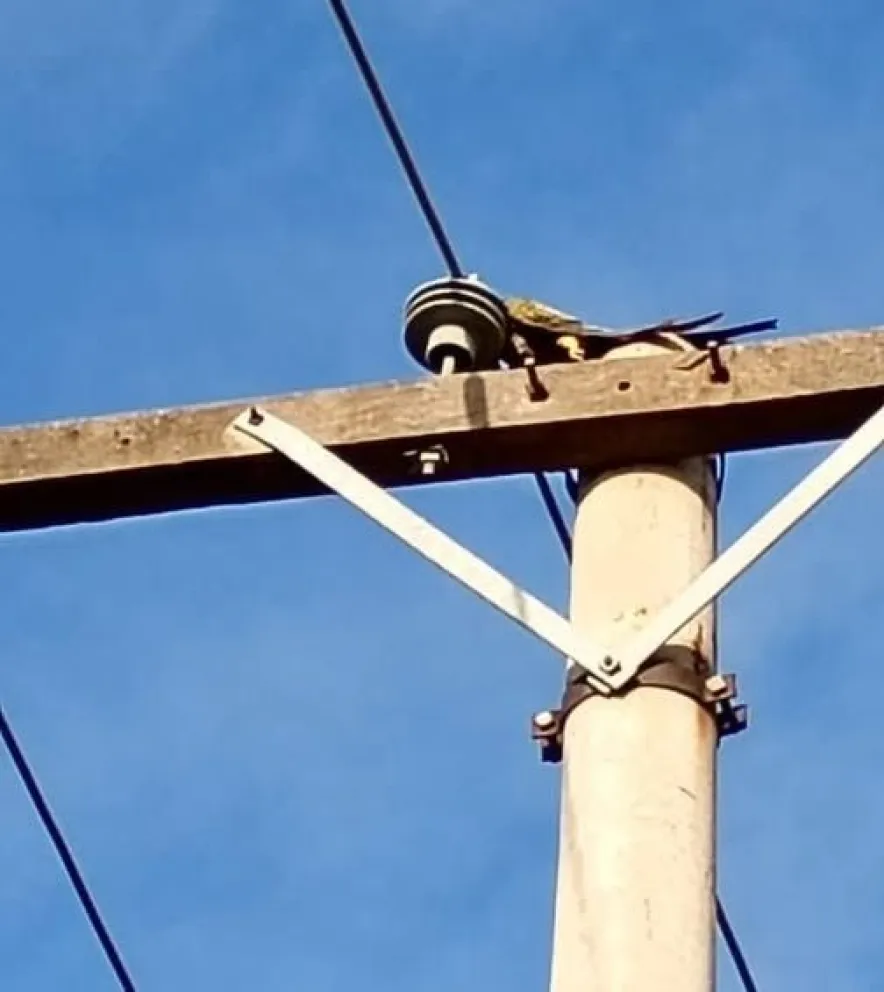 Entre las 6.30 y las 7 no hubo energía en la localidad. Foto gentileza.