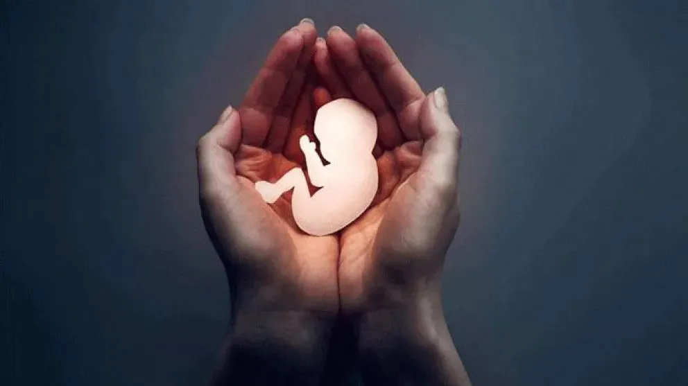 Se instituye el 15 de octubre como Día Provincial de Concientización sobre la Muerte Gestacional, Perinatal y Neonatal