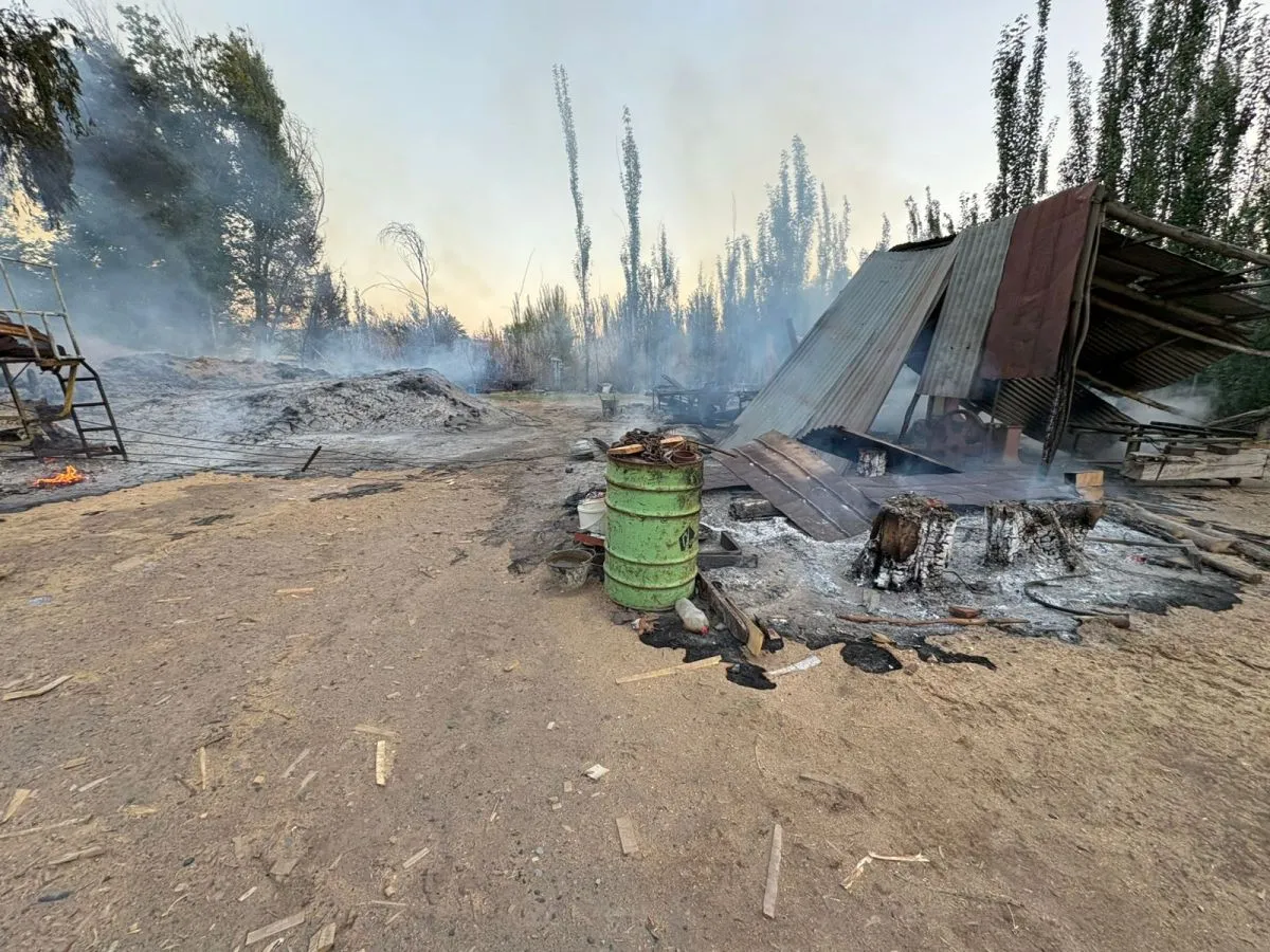 Se estima que el fuego inici&oacute; en un sector cercano al aserradero y desde all&iacute; se propag&oacute; hacia los rodados. Foto gentileza.