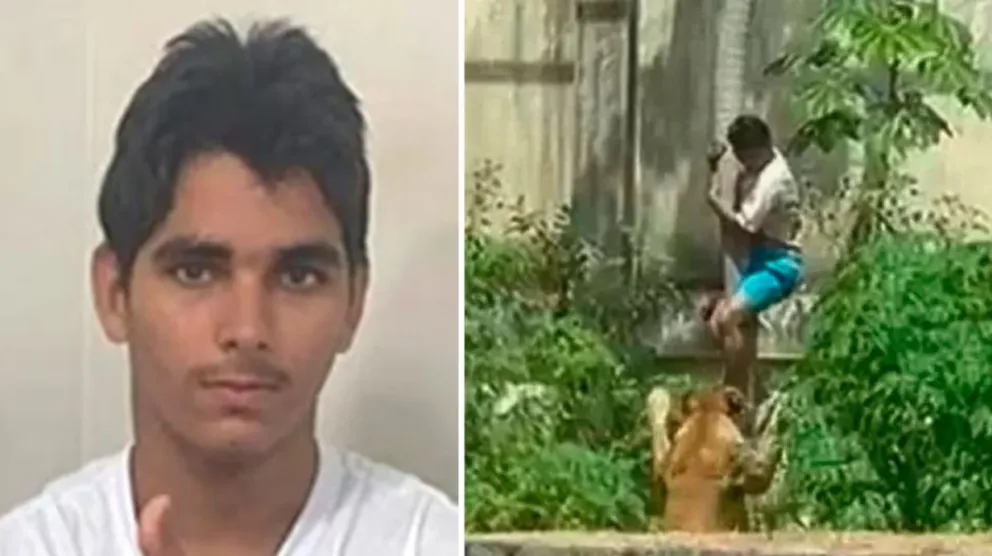 El incidente ocurrió en el Parque Zoobotánico Arruda Câmara.