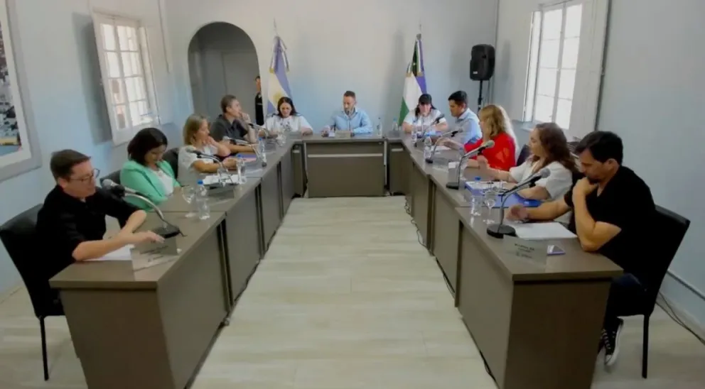 Concejo Deliberante de Regina durante la última sesión ordinaria del año, el martes 25 de noviembre. Foto: captura de video 