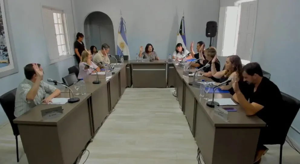 El proyecto fue aprobado por unanimidad por parte de los ocho concejales presentes. Foto CD (captura).