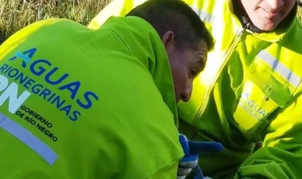 Cuadrillas de operarios de Aguas Rionegrinas trabajan en la reparación de una cañería por lo que realizó una interrupción total del servicio. Foto: archivo