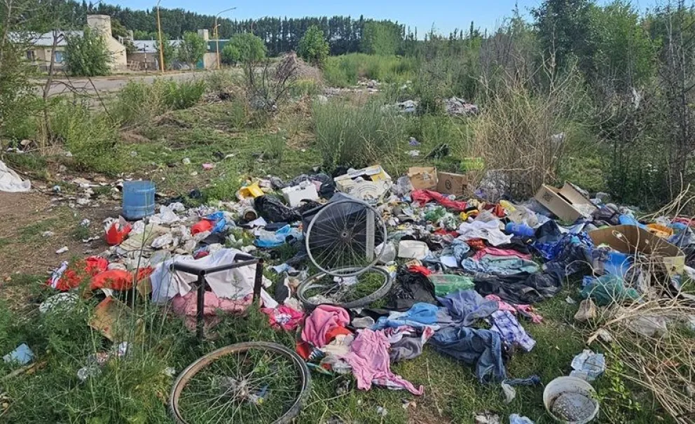 Desde el municipio denunciaron la presencia de microbasurales en lugares no autorizados. Foto: gentileza