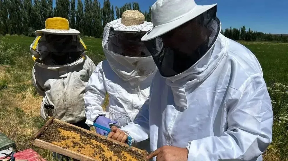 Curso de Formación Apícola Provincial.