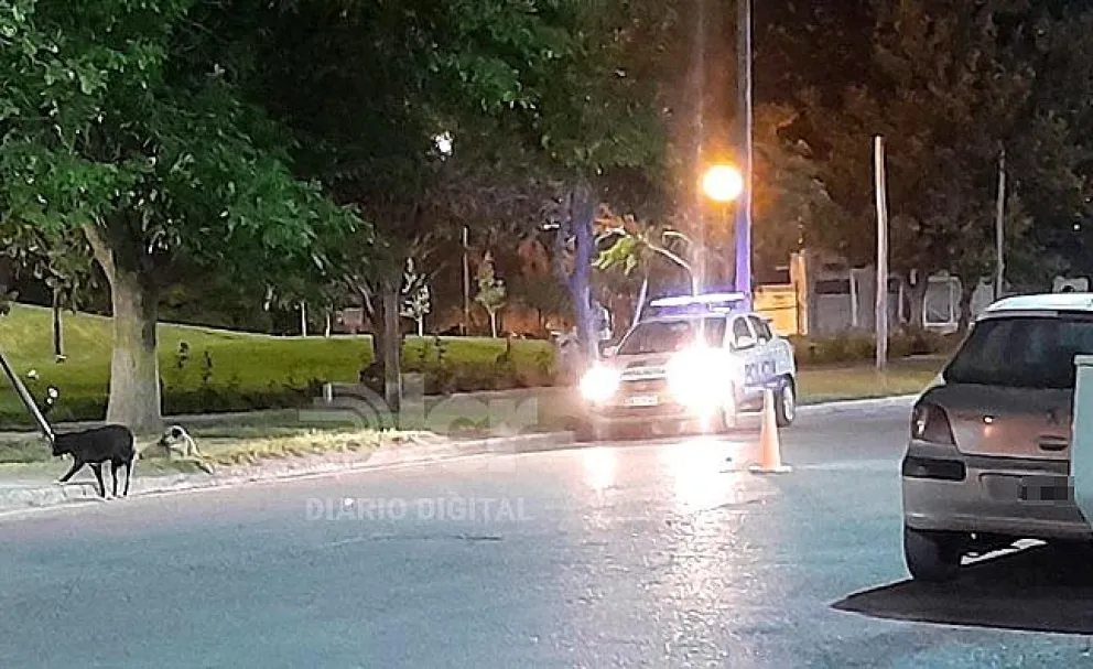 El ataque ocurrió en la plaza Cardenal Cagliero. Más allá de las presunciones, hasta el momento no se pudo identificar al agresor. Foto LCR (archivo).