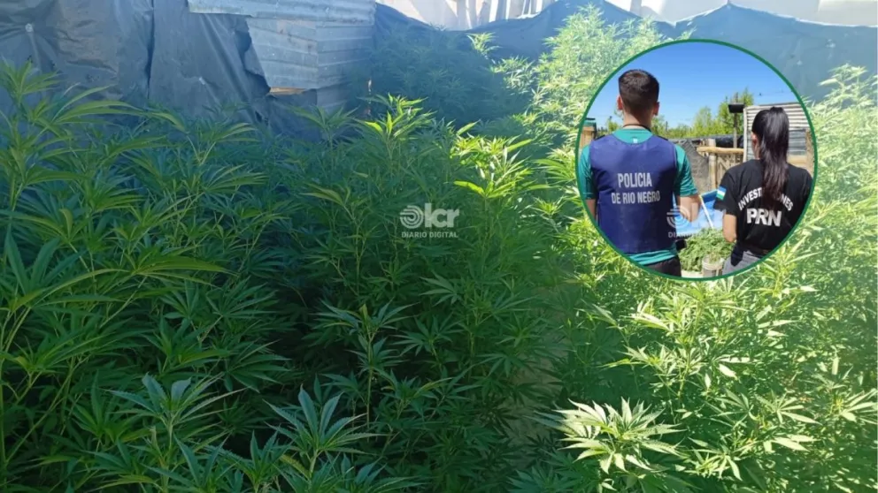 El procedimiento contra la barda del barrio se realizó el sábado por la mañana. Foto gentileza.