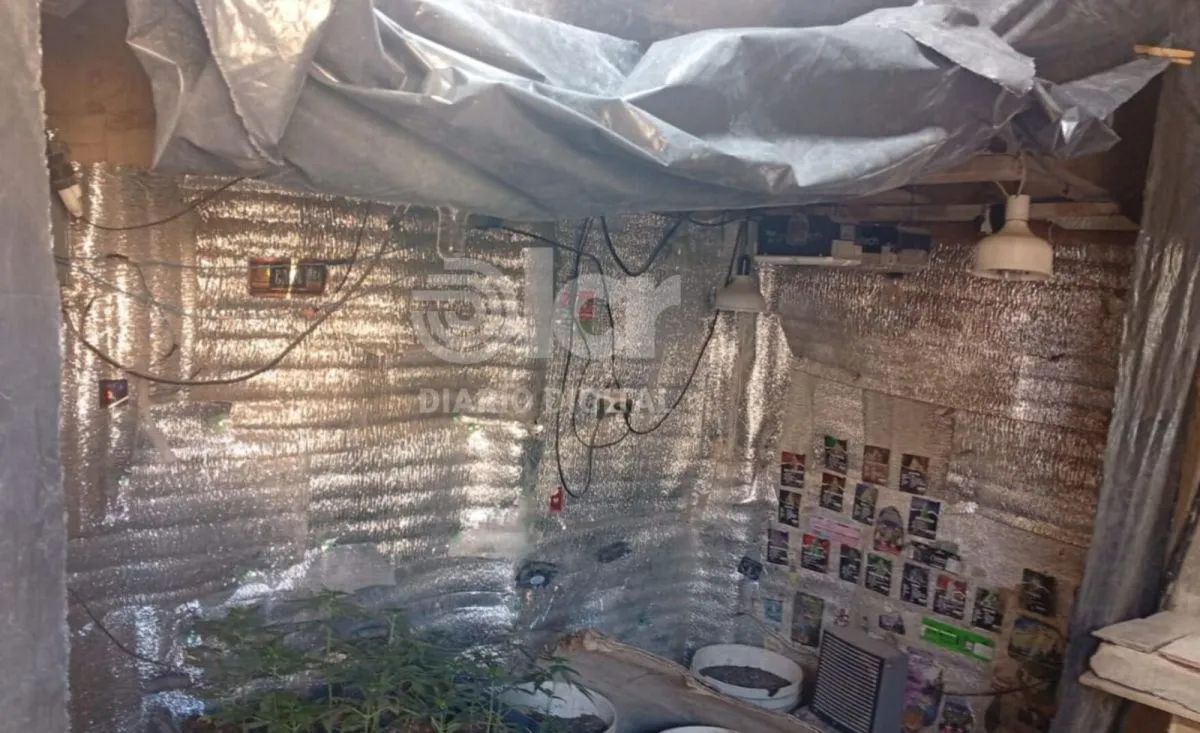 "El lugar era un invernadero pr&aacute;cticamente", confiaron fuentes policiales a LCR. Foto gentileza.