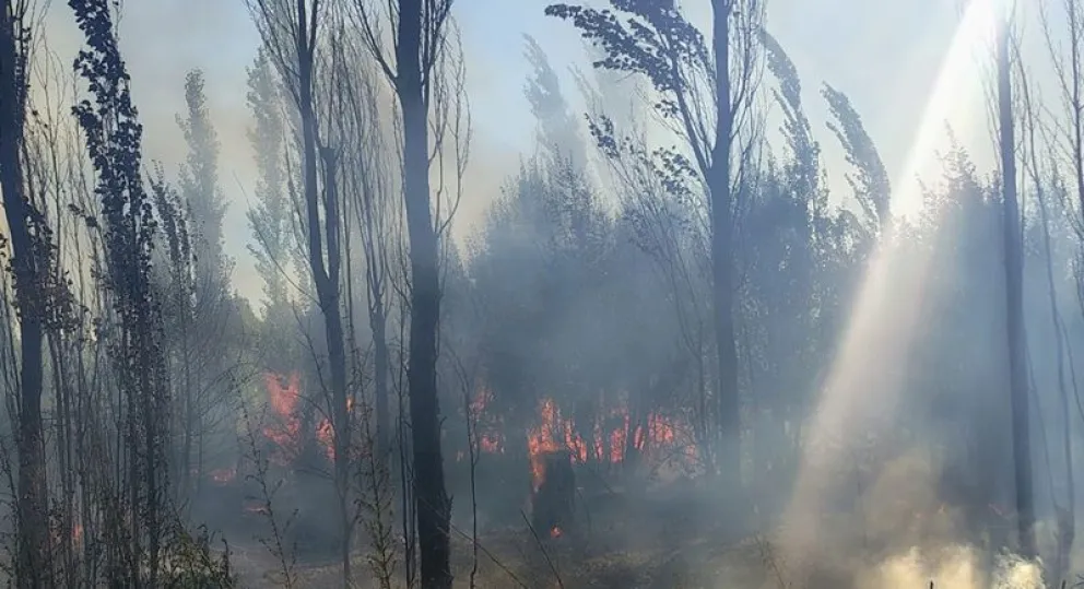 El incendio se registró durante la tarde de hoy en cercanías del barrio Villa Alberdi. Foto: gentileza