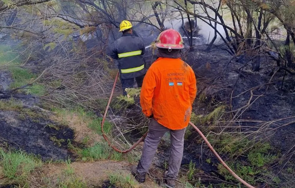 Las altas temperaturas pueden generar incendios de pastizales en zonas rurales y terrenos baldíos. Foto: gentileza 