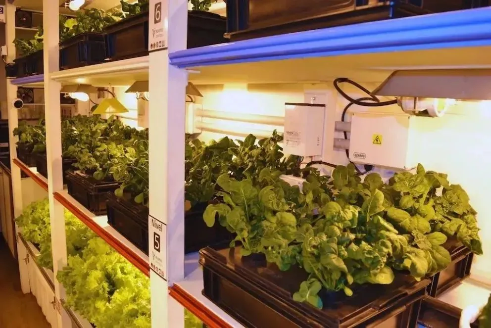 Está pensado para producir vegetales aislado de las condiciones del entorno.