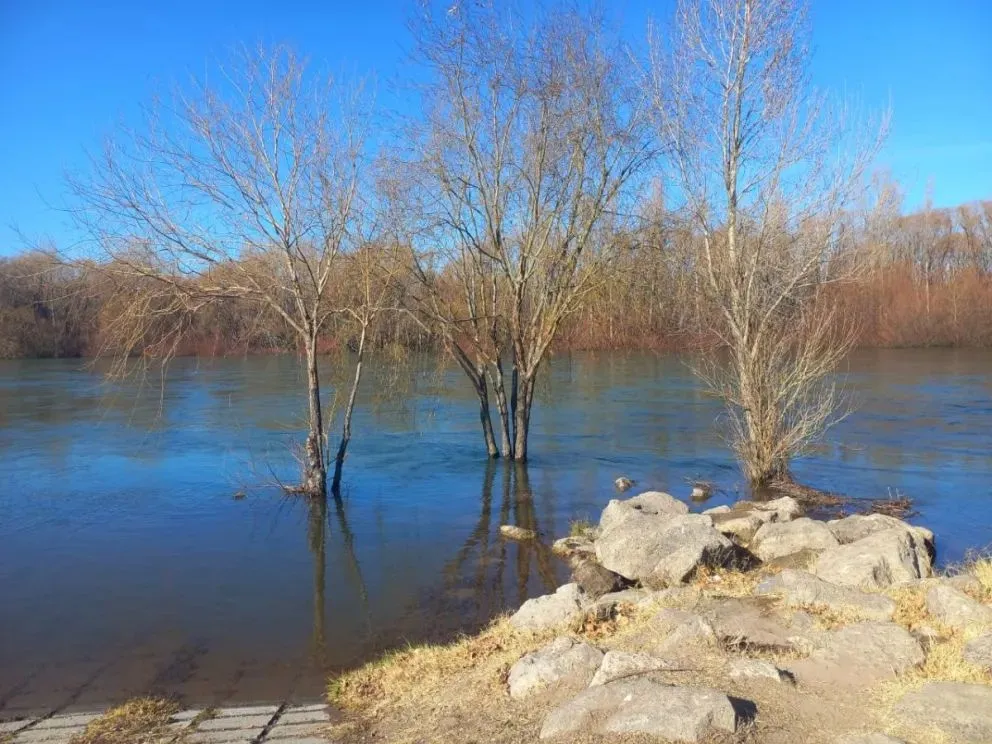 Los ríos de la región se encuentran afectados por la sequía y las altas temperaturas. Foto: Tania Domenicucci