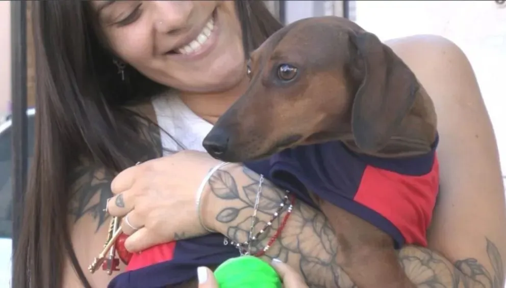 Ante las altas temperaturas lo recomendable es mojarle las patas, la panza y nunca mojarlos completamente. Foto: Cipo360