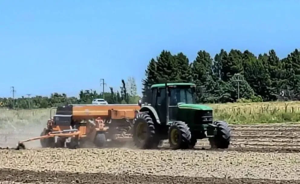 En pleno sembrado el mes pasado. Foto gentileza.