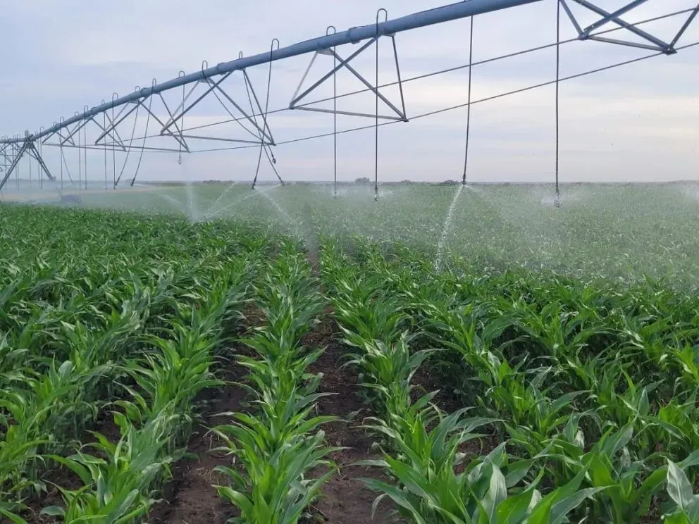 2025 marcó un punto de inflexión para el riego y la producción. Foto Gobierno de Río Negro.