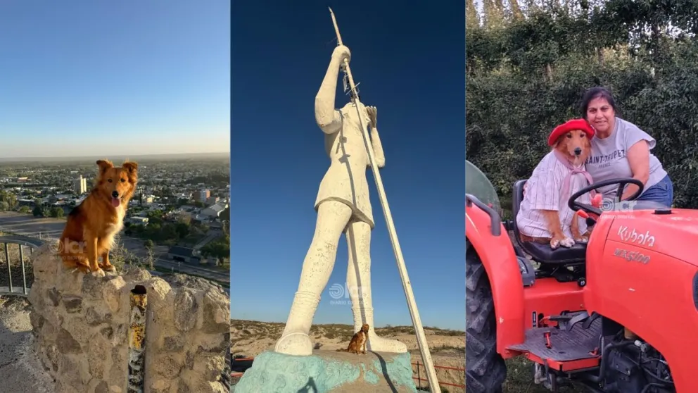 Preguntale y Diego recorrieron Regina en diciembre. Fotos: gentileza 