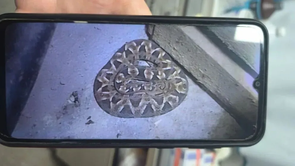 El paciente se encuentra estable y bajo seguimiento médico. (Foto gentileza)