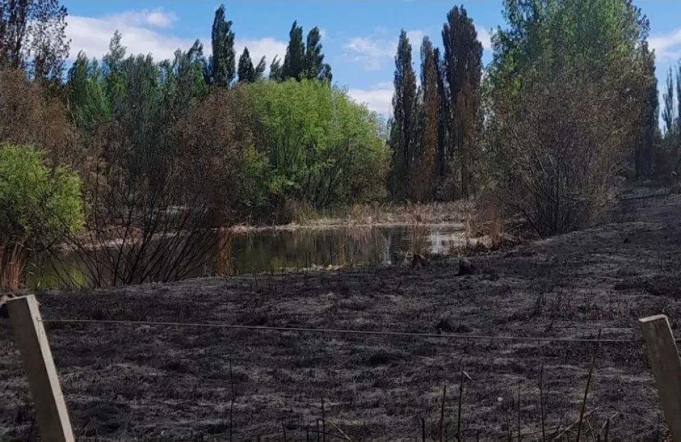 Bomberos recordó con una fogata mal apagada puede desencadenar en un incendio forestal durante los días de calor y vientos intensos. Foto: gentileza