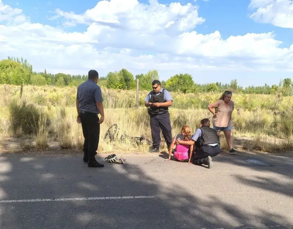 La orden judicial ya fue notificada a Zoonosis de Allen. Foto CIPO360