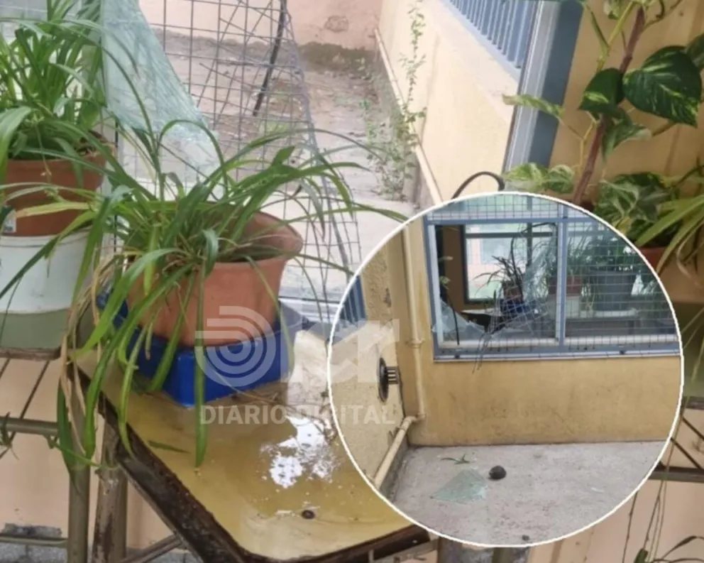 Rompieron la reja y uno de los vidrios del SUM, pero no lograron entrar. Foto gentileza. 