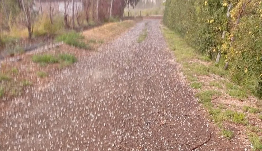 La caída de granizo se registró en chacras de Huergo, Godoy y Villa Regina.