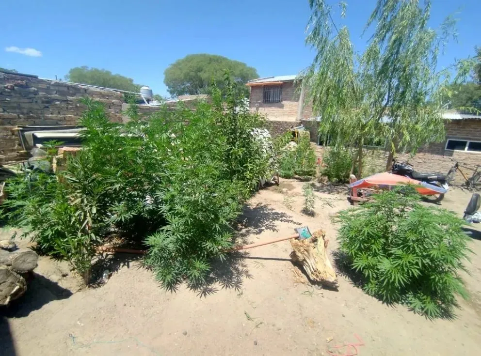 El operativo fue realizado con apoyo del grupo COER y efectivos de la Subcomisaría 69°. Foto: gentileza