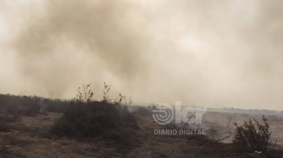 El humo está presente en el cielo de Villa Regina con un olor intenso a pastos quemados. Foto: gentileza