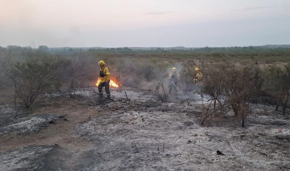 Las dificultades del terreno y el viento generaron que bomberos tuviera que intervenir durante dos días para controlar un incendio forestal. Foto: gentileza
