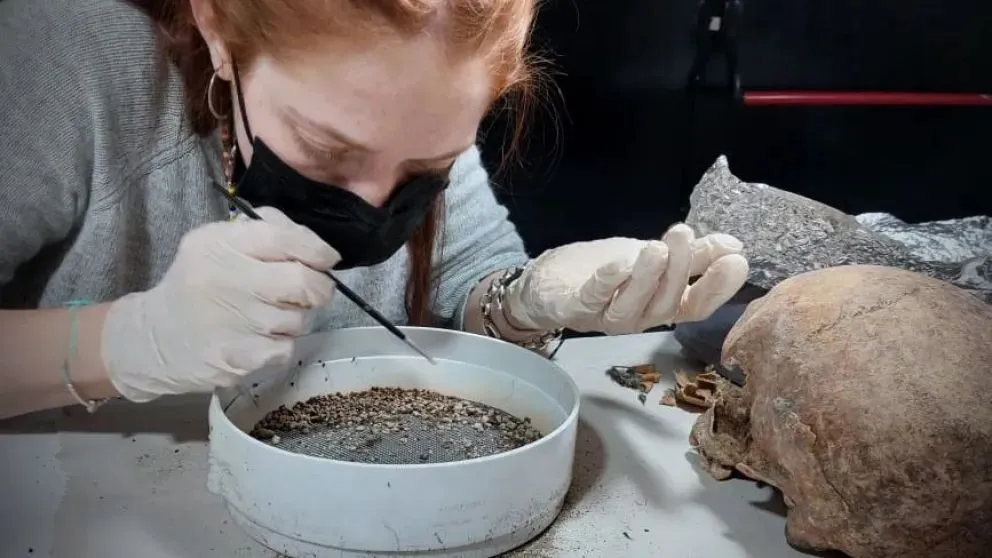 De la mano del Conicet, General Roca se posiciona con esta biblioteca en la vanguardia científica. Foto: Gentileza