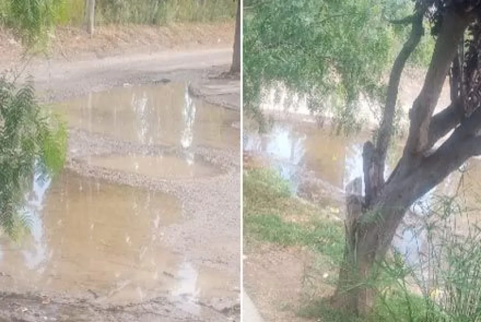 El inconveniente se da sobre calle Avellaneda al 1286. Foto gentileza.