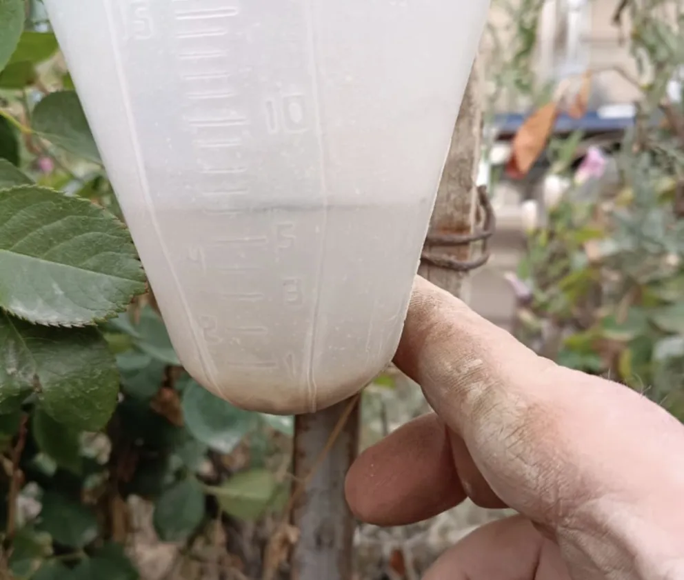 Una de las imágenes que compartió el productor Rudy Aldrighetti 